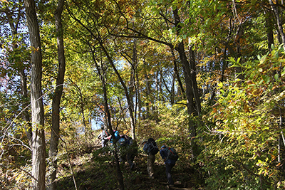 紅葉の始まった登山道を登っている写真