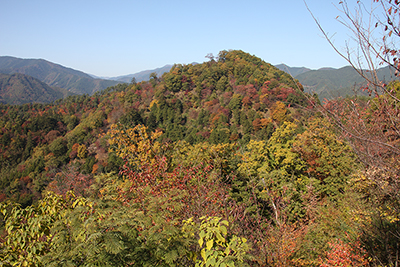 展望台から見た八重山山頂の写真