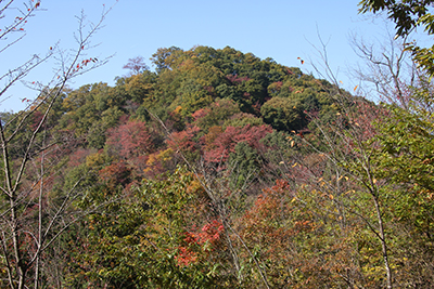 八重山山頂付近から見た能岳の山頂の写真