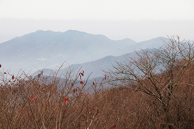 加波山の写真