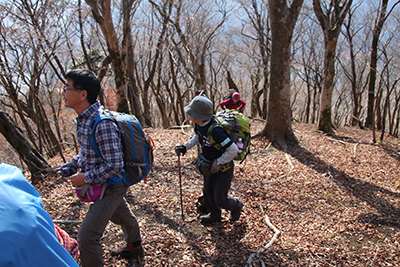 落ち葉の深い尾根を登っている写真