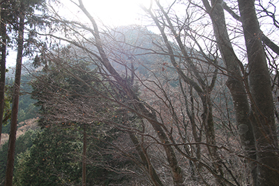 振り返ってみた大きな権現山の写真