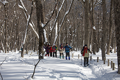 スノーシューを付けて雪原を歩いているメンバーの写真