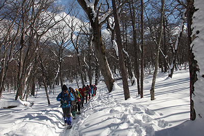 雪の深い樹林帯を歩いている写真