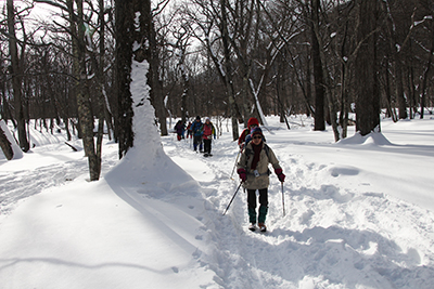 雪深い樹林帯をさらに歩いている写真