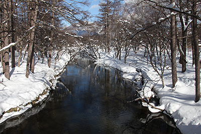 凍らずに流れている湯川の写真