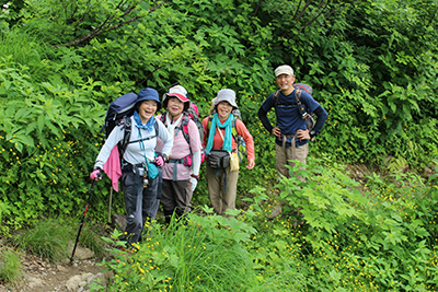 キンポウゲの咲く登山道を歩いている写真