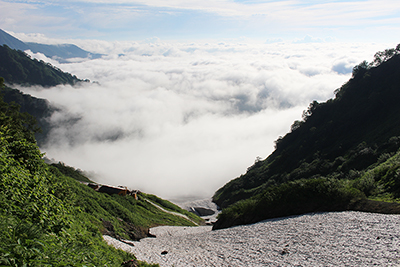 雪渓、白馬鑓温泉、雲海の写真