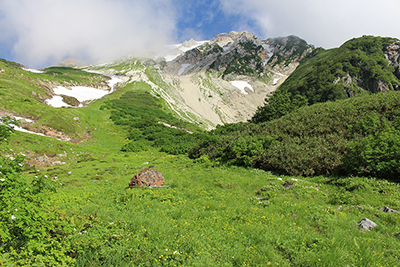 大出原と白馬鑓ヶ岳の写真