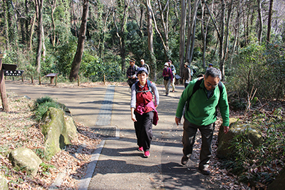 舗装された公園内の道を歩いている写真