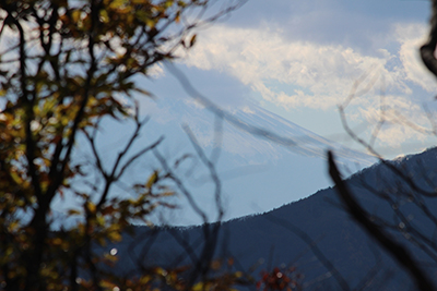 木の間から見えた富士山の山腹の写真