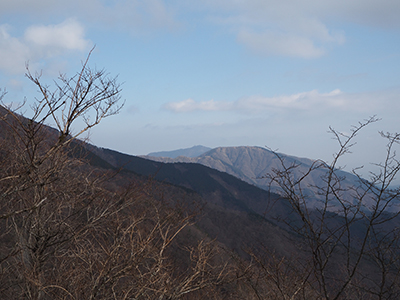 後沢乗越手前から見た三の塔と大山の写真