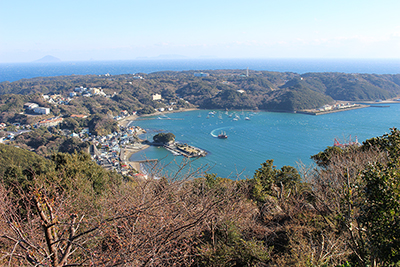 下田港を俯瞰した写真