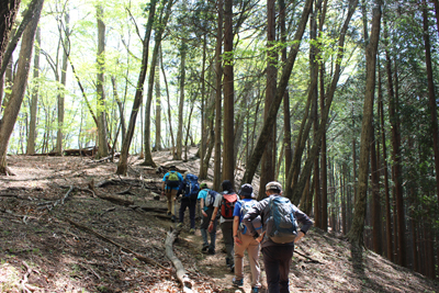 カタクリが咲き始める手前の登山道を登っている写真