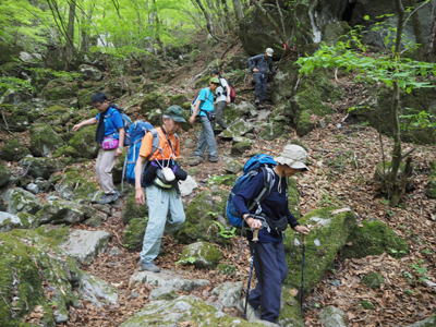 Iさんが撮影した沢沿いの登山道を下っている写真