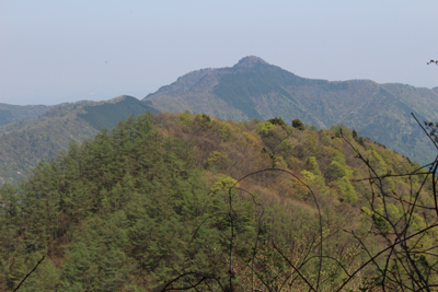 大岳山の写真