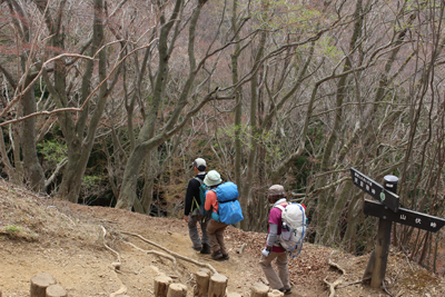 山伏峠の分岐標識の横を下っている写真