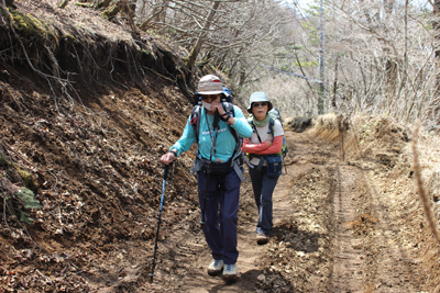 山頂直下まで続く広い道を歩いている写真