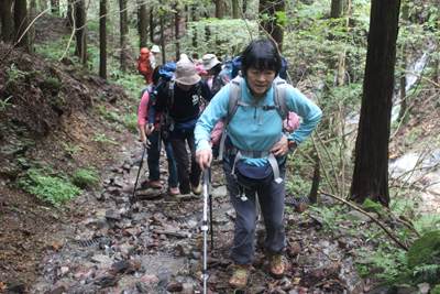 幅の広い登山道を歩いている写真