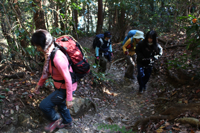 登山道を登っている写真