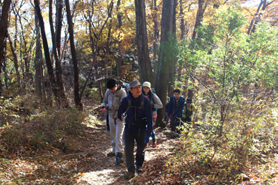 傾斜の緩い山道を歩きはじめた写真