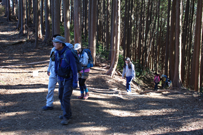 山頂下の平坦地に登ってきた写真